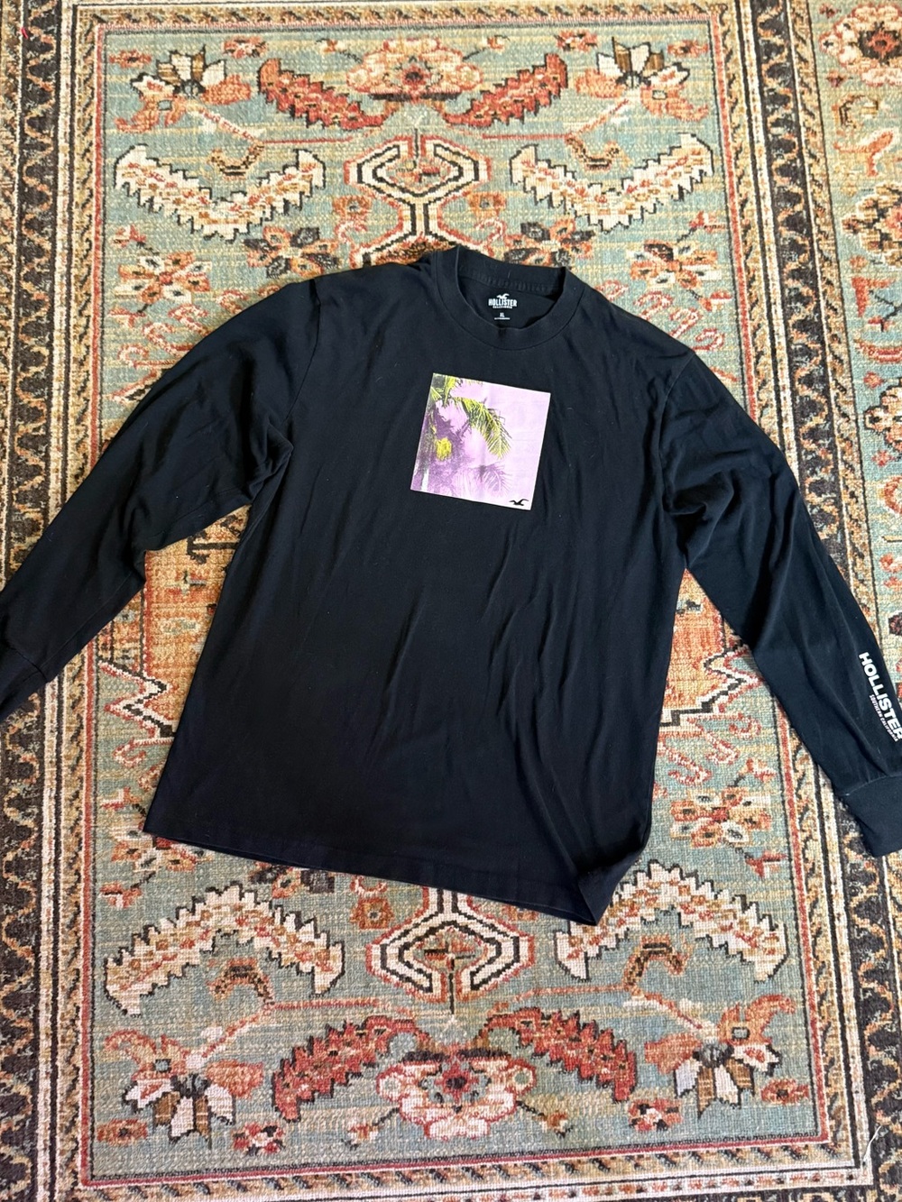 Hollister Black Long-Sleeve Tee with Purple Palm Graphic